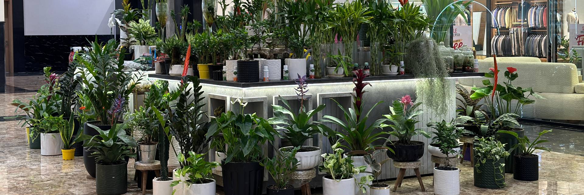 بندرعباس مال - بامبو لند