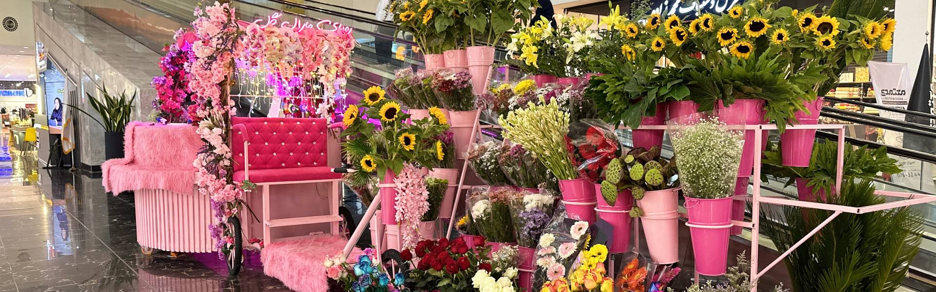 بندرعباس مال - مارال گل