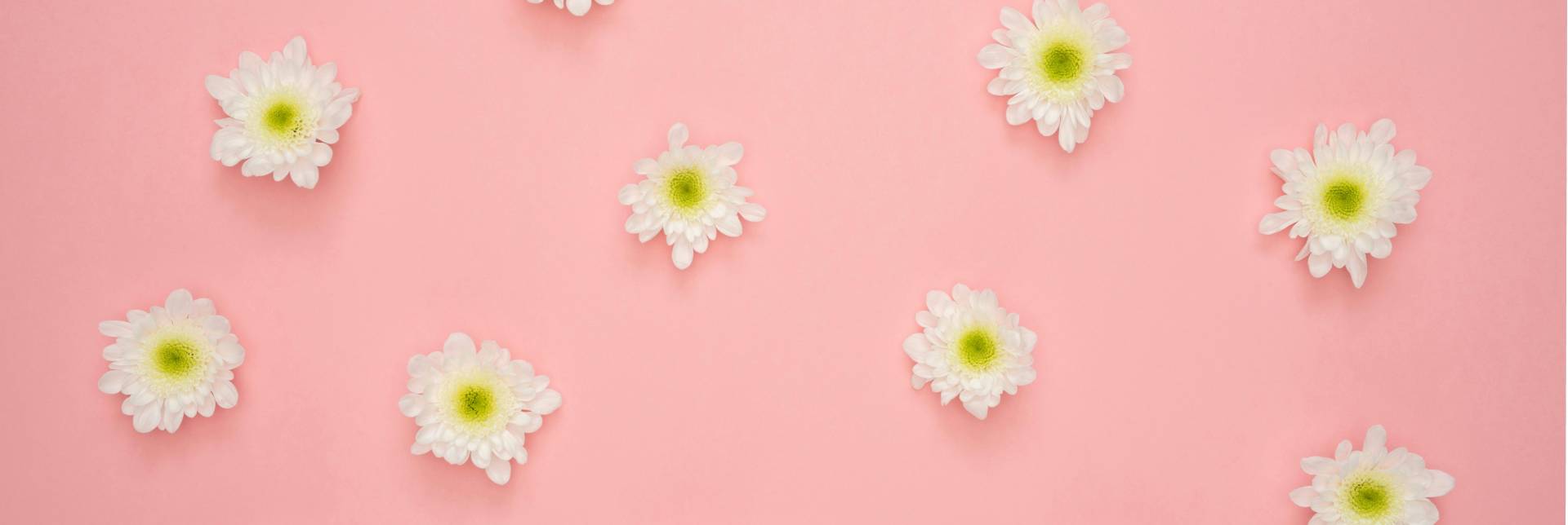 بندرعباس مال - فروشگاه‌ها